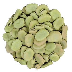 Broad bean png circle