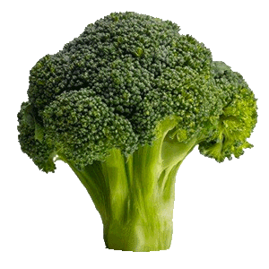Broccoli png