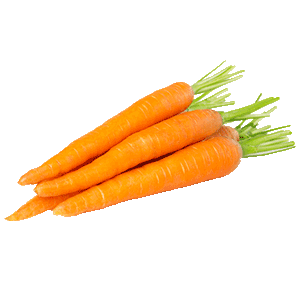 3 Carrot png
