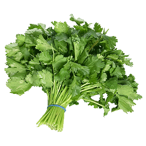 Coriander PNG