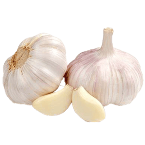 2 Garlic png