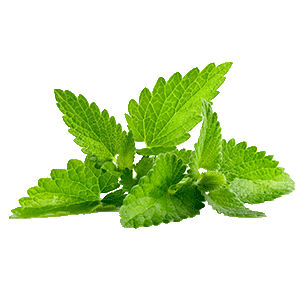 Mint PNG