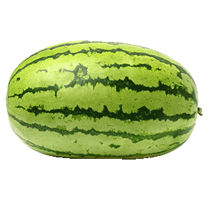Oval watermelon