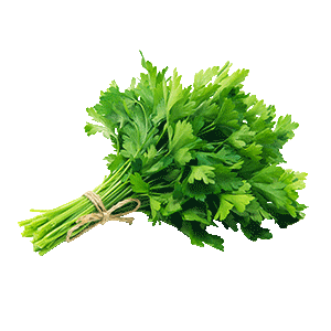 Parsley PNG
