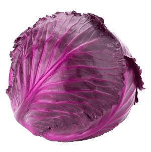Red cabbage png