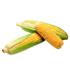 3 Sweet Corn png