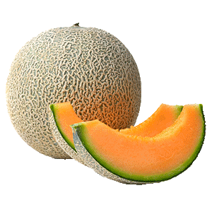 cantaloupe melon png