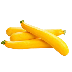 Gourmet gold zucchini