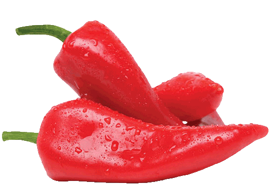 kapia pepper red PNG
