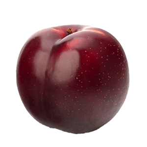 Red plum PNG