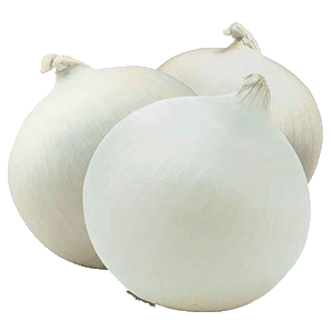 White onion png