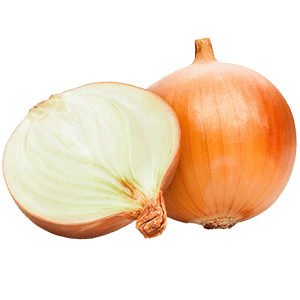 yellow onion PNG